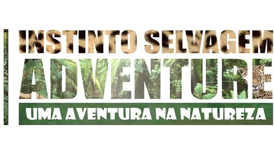 Imagem de Capa