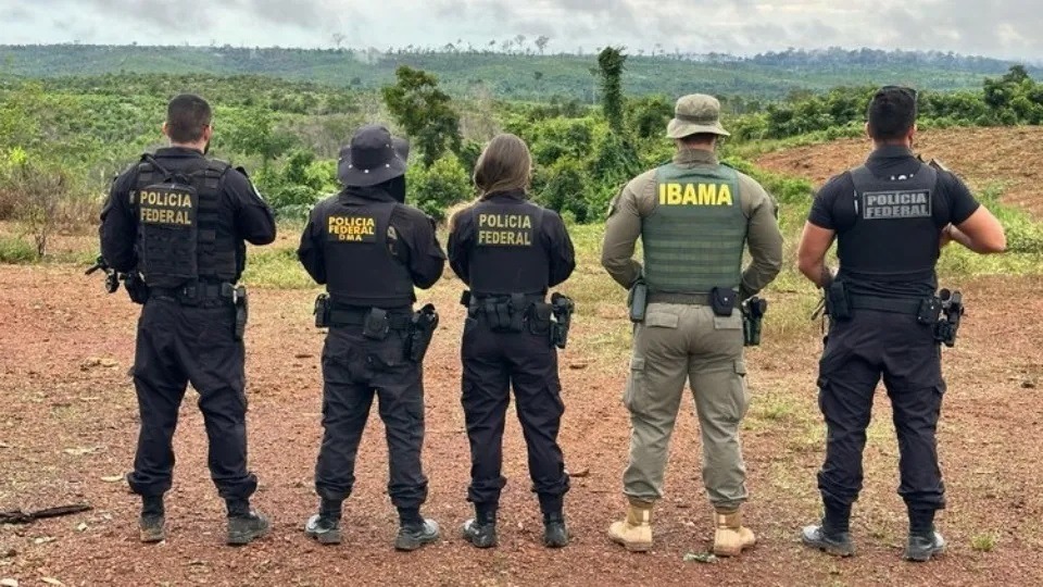 Imagem de Capa
