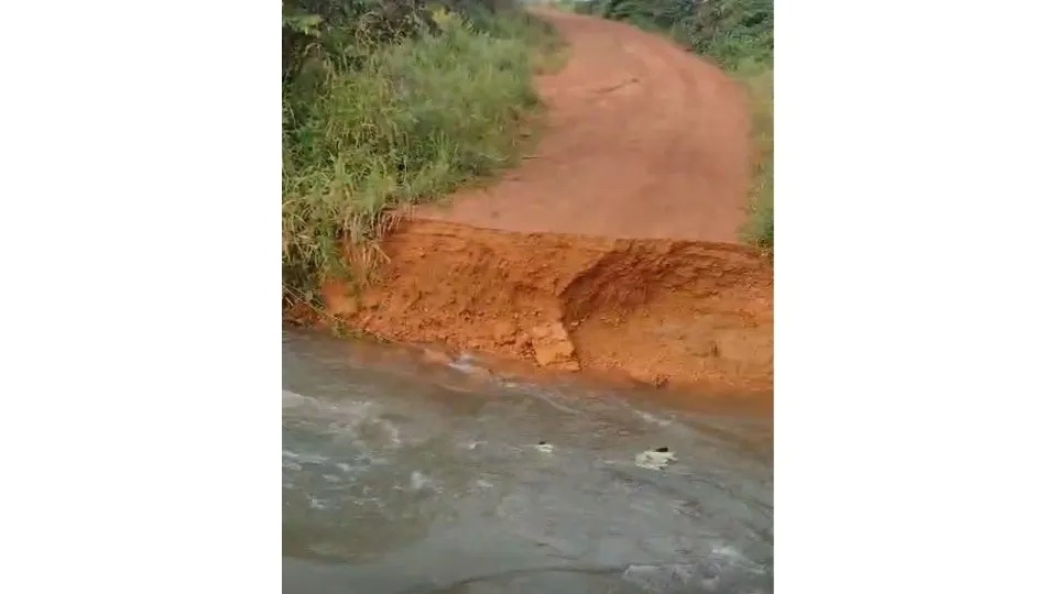 Imagem de Capa