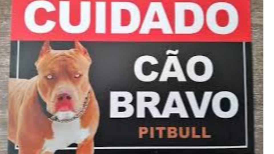 Imagem de Capa