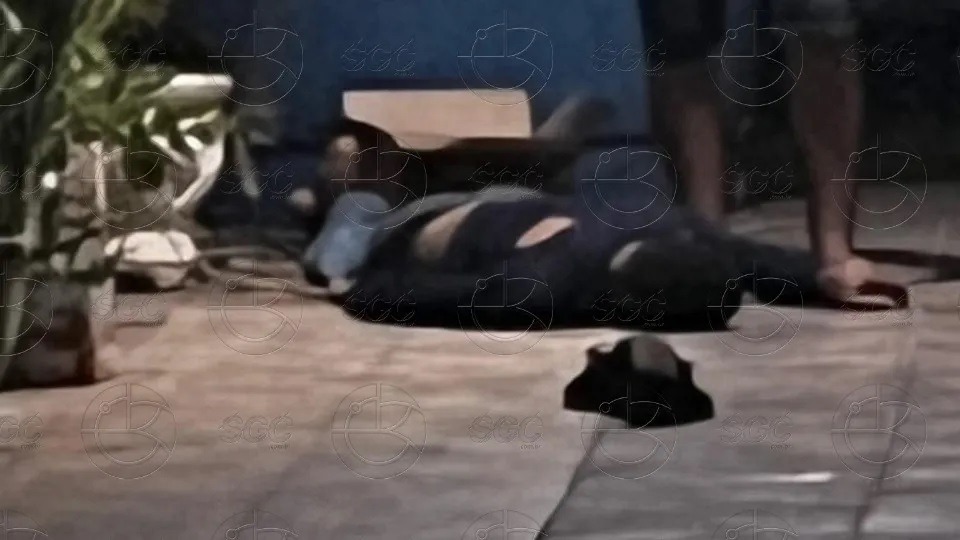 Imagem de Capa